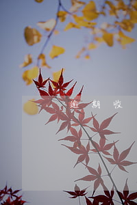 逾期收繳通知(追繳欠費(fèi)的通知)