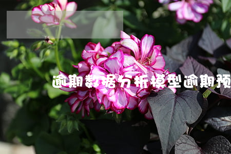 逾期数据分析模型(逾期预测模型)