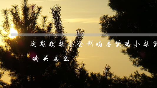 逾期数额小会影响房贷吗(小额贷款逾期会影响买房么)