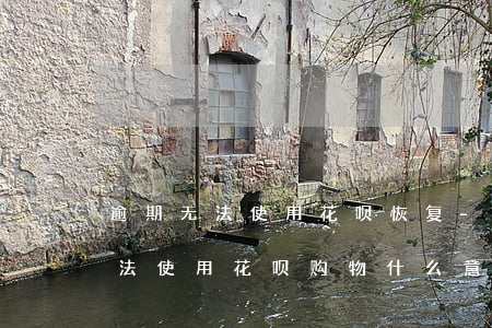逾期无法使用花呗恢复-逾期后花呗显示无法使用花呗购物什么意思
