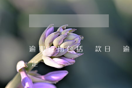 逾期日期包括還款日嗎(逾期還款之日如何確定)