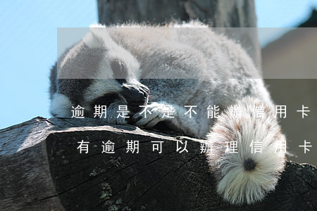 逾期是不是不能辦信用卡(當(dāng)前有逾期可以辦理信用卡嗎)