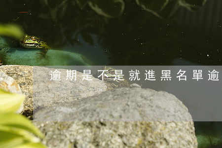 逾期是不是就進黑名單(逾期是黑名單嗎)