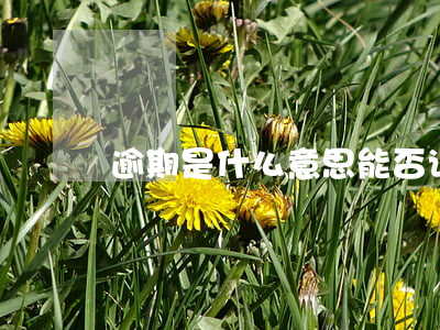 逾期是什么意思能否说清楚点(逾期啥意思)