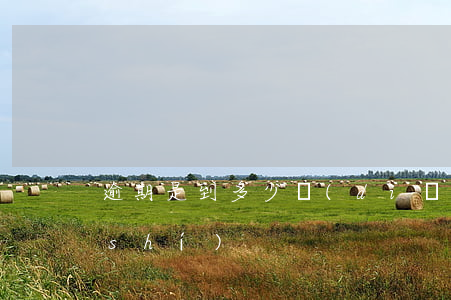 逾期是到多少點(diǎn)(逾期幾小時(shí))