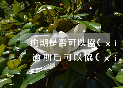 逾期是否可以協(xié)商晚3個月還款(逾期后可以協(xié)商還款嗎)