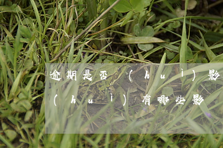 逾期是否會(huì)影響貸款(貸款逾期會(huì)有哪些影響)