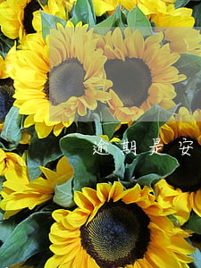 逾期是安還款日算嗎(最后還款日算逾期嗎)