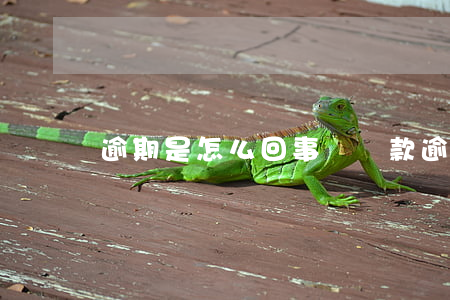 逾期是怎么回事兒(貸款逾期是怎么回事)
