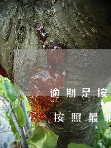 逾期是按照最低還款金額計算還是-逾期是按照最低還款金額計算還是按月計算