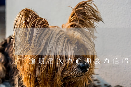 逾期是次寄 逾期会寄信吗