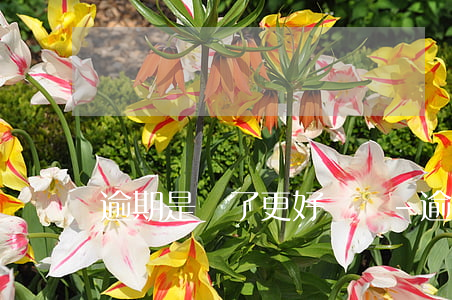逾期是為了更好還錢-逾期的意義
