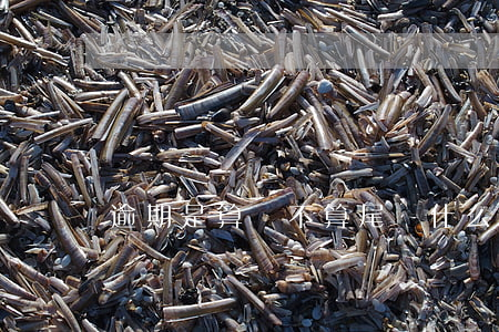 逾期是算頭不算尾嗎 什么算是逾期