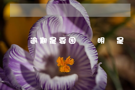 逾期是要困難證明還是貧困證明-