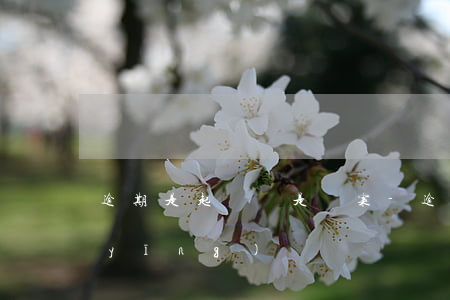逾期是起訴還是報案-逾期被起訴怎么應(yīng)訴