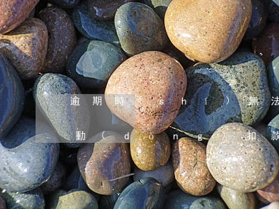 逾期時(shí)無法指定單筆還款(還款自動(dòng)扣款失敗導(dǎo)致逾期)
