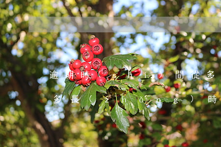 逾期時(shí)間從多會(huì)算起(多長(zhǎng)時(shí)間算是逾期)