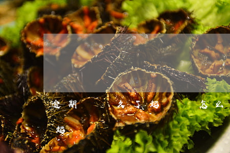 逾期時間久了起訴會怎么樣(逾期多少久會被起訴)