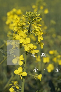 逾期時間內(nèi)流動資金大于逾期資金-逾期時間內(nèi)流動資金大于逾期資金怎么辦