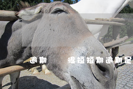 逾期時間很短(短期逾期是多久)