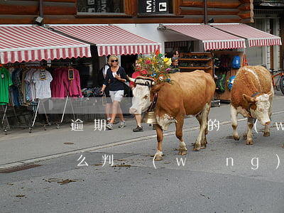 逾期時間較長的網(wǎng)貸法院會怎么判(網(wǎng)貸逾期了法院)