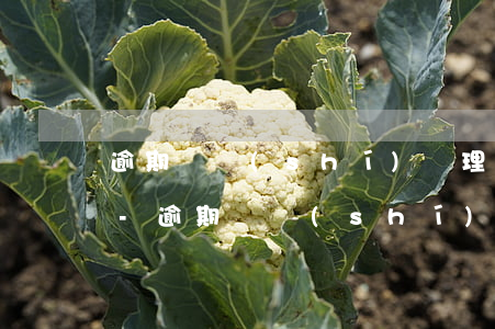 逾期暫時(shí)處理不了走流程的后果-逾期暫時(shí)處理不了走流程的后果是什么