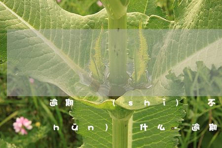 逾期暫時(shí)還不上呢自己要準(zhǔn)備什么-逾期暫時(shí)還不上呢自己要準(zhǔn)備什么手續(xù)