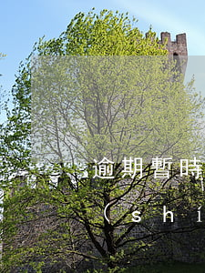逾期暫時(shí)還不上錢怎么辦(逾期實(shí)在還不上怎么辦)