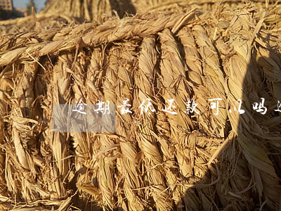 逾期最低还款可以吗(逾期最低还款额可以吗)