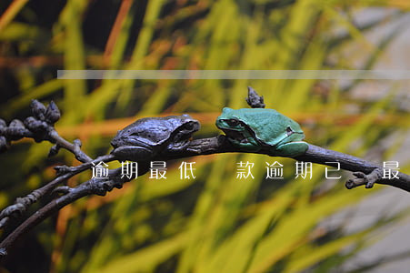 逾期最低還款（逾期已還最低）