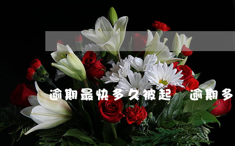 逾期最快多久被起訴(逾期多久才能起訴)