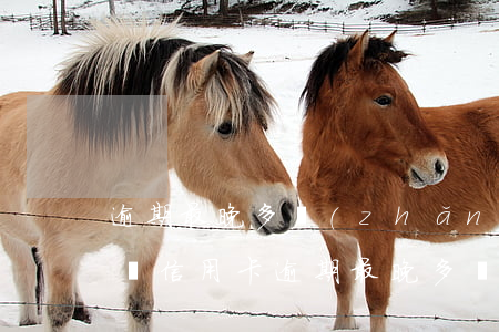 逾期最晚多長(zhǎng)時(shí)間信用卡(逾期最晚多長(zhǎng)時(shí)間信用卡會(huì)被起訴)