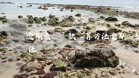 逾期最終還款計算方法(逾期還款違約金的算法)