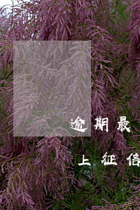 逾期最長(zhǎng)幾天會(huì)上征信-逾期多少天會(huì)上征信