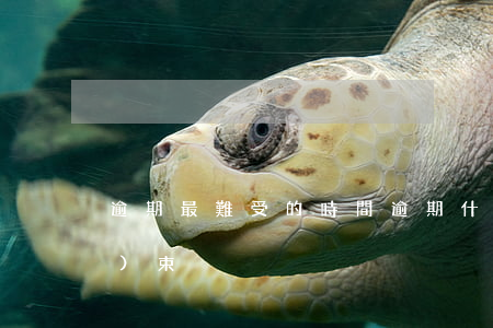 逾期最難受的時間(逾期什么時候結(jié)束)