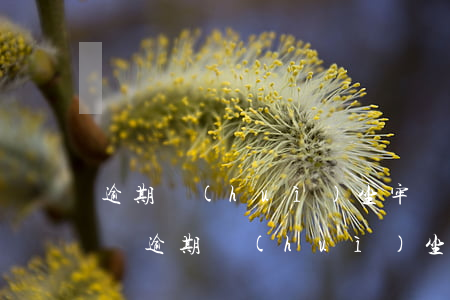 逾期會(huì)坐牢嗎-網(wǎng)貸逾期會(huì)坐牢嗎