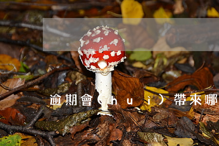 逾期會(huì)帶來哪些麻煩