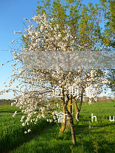 逾期會(huì)影響下一代嗎 信用卡逾期會(huì)影響下一代嗎