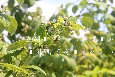 逾期會(huì)影響小孩上學(xué)嗎（信用卡有過(guò)逾期影響孩子上學(xué)嗎）
