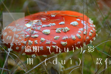 逾期會(huì)影響幾年貸款(3年前的逾期對(duì)貸款有影響嗎)