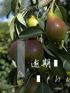 逾期會(huì)影響社?？▎幔ㄐ庞每ㄓ馄跁?huì)不會(huì)影響交社保）