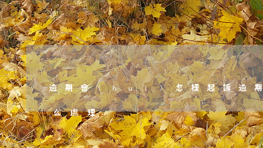 逾期會(huì)怎樣起訴(逾期法院起訴怎么處理)