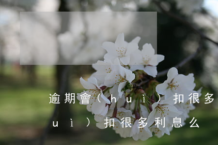 逾期會(huì)扣很多利息么 逾期會(huì)扣很多利息么