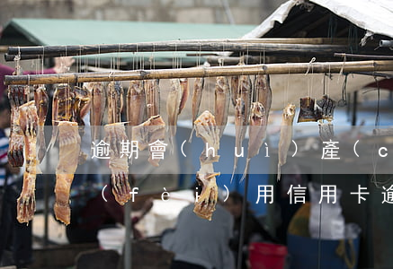 逾期會(huì)產(chǎn)生哪些費(fèi)用（信用卡逾期包含什么費(fèi)用）