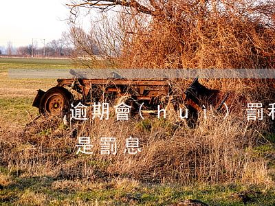 逾期會(huì)罰利息嗎-逾期利息是不是罰息