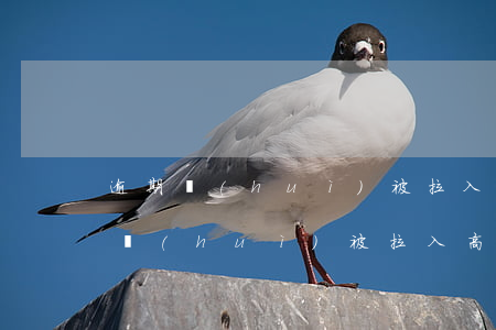 逾期會(huì)被拉入高速黑名單嗎（逾期會(huì)被拉入高速黑名單嗎）