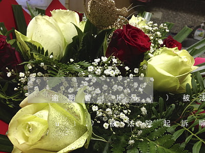逾期會(huì)被法院起訴嘛（逾期會(huì)被法院起訴嘛）