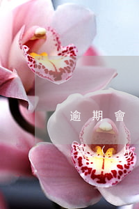 逾期會(huì)降低額度嗎-信用卡逾期會(huì)降低額度嗎