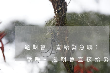 逾期會一直給緊急聯(lián)系人打電話嗎-逾期會直接給緊急聯(lián)系人打電話嗎
