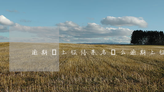 逾期會上征信黑名單么 逾期上征信是黑戶嗎
